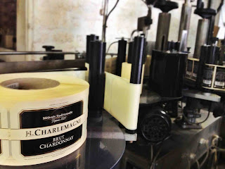 http://www.frenchvillagediaries.com French Village Diaries Silent Sunday Photos Angouleme JL Charlemagne Poitou-Charentes