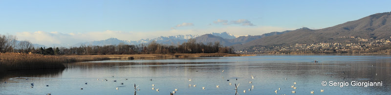lago di Varese