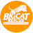 Big Cat Rescue