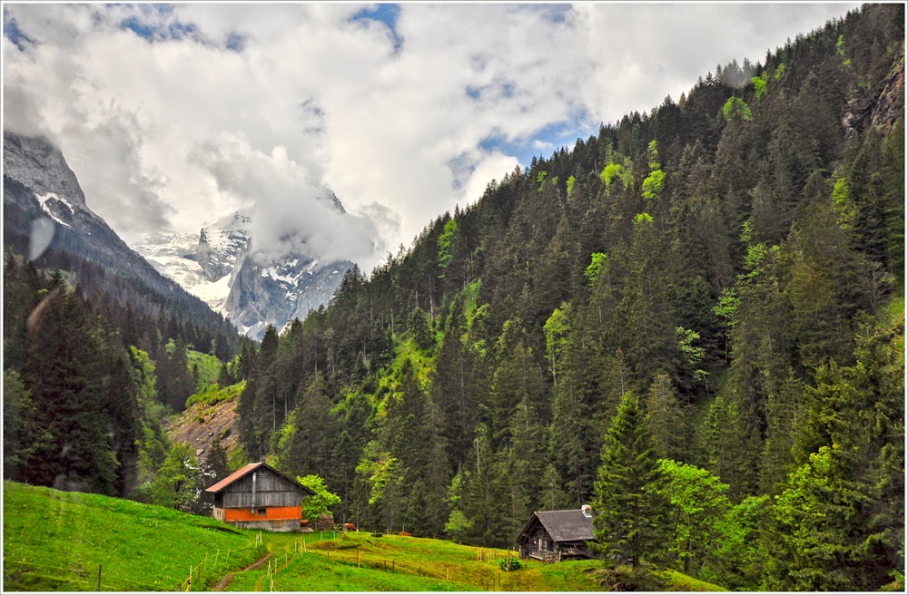 Швейцария между весной и летом. Май-июнь 2014.