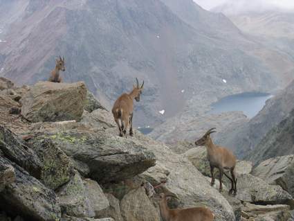 Company on the mountain