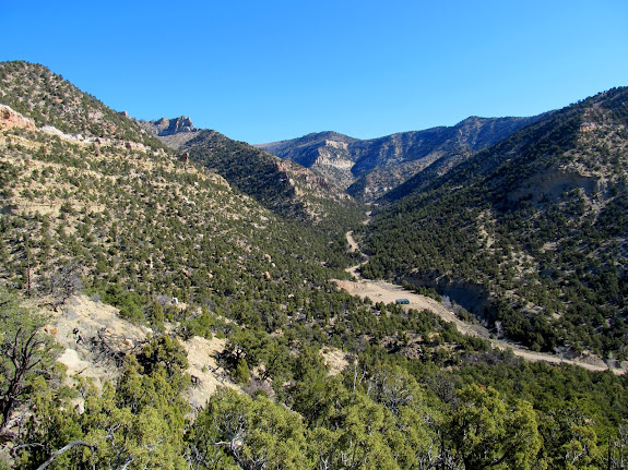 Looking up Cordingly Canyon