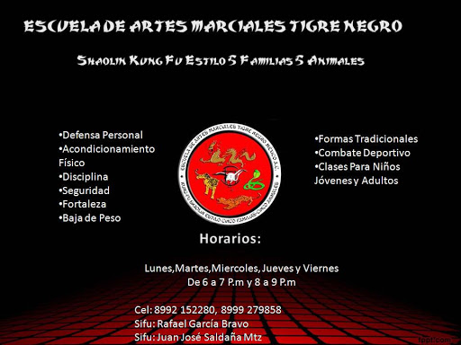 ACADEMIA TIGRE NEGRO REYNOSA, Av Vista Hermosa 736, Unidad Obrera, Residencial Miraloma, 88710 Reynosa, Tamps., México, Actividades recreativas | TAMPS