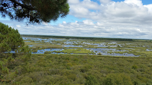Réserve Naturelle de l'Étang du Cousseau