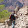 Denis kaiyumi Denis kaiyumi's profile photo