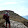 Wolfgang Rohmann Wolfgang Rohmann's profile photo