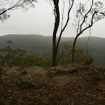 Gap Creek Viewpoint on a cloudy day off Monkey Face Road in the Watagans (322826)