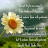 rehan sayyed avatar image