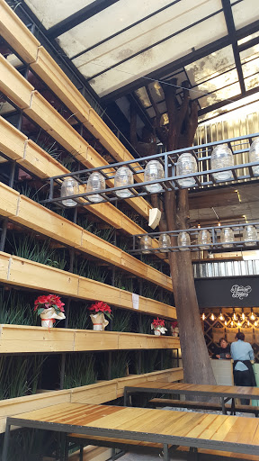 Mercado Del Carmen Coyoacan