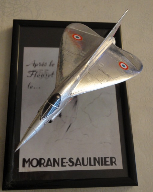 Morane-Saulnier MS 1000 Venus DSC09158