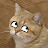 Nicholas Caito avatar image