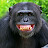 Michael Tat avatar image