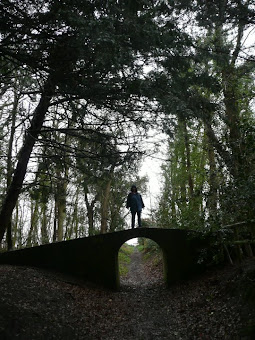 A fairy bridge across the old path through Grefyfriars wood next to the Friary ruins