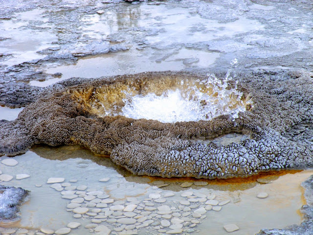 Los fascinantes parques del oeste americano. - Blogs de USA - DIA-2. GRAND TETON Y YELLOWSTONE (I). (19)