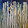 shelley wheeler shelley wheeler's profile photo