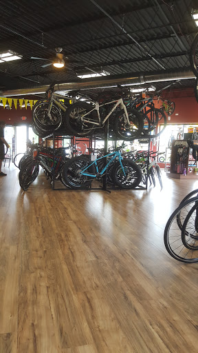 Bicycle Store «Village CycleSport», reviews and photos, 234 W Northwest Hwy, Barrington, IL 60010, USA
