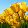 Cindy Murugi Cindy Murugi's profile photo