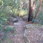 Track down from Martin's Lookout (74394)