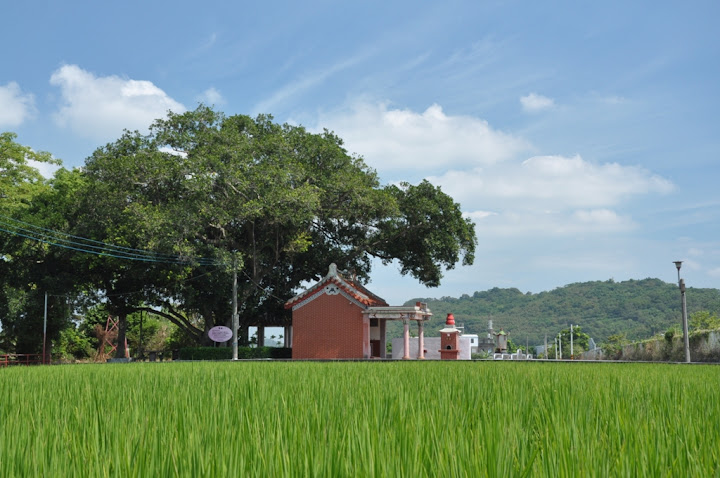 愛樹行動學堂-老樹地圖踏查