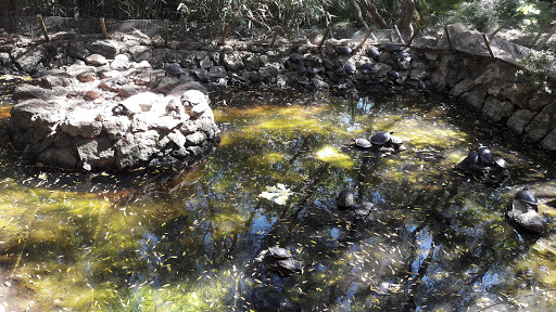 Zoologico Natura Parc