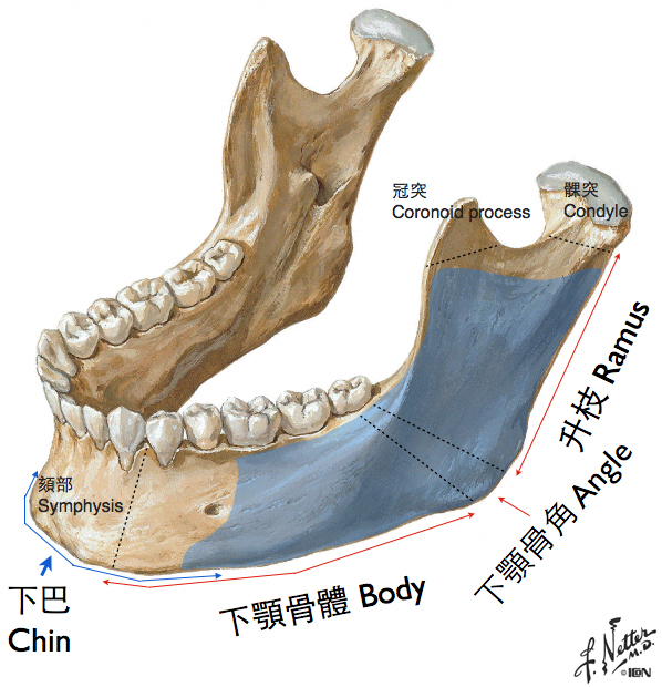 削骨手術,下顎骨雕塑,下巴