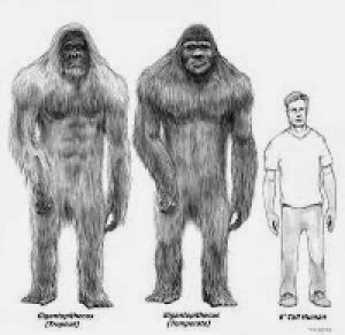 Unexplained Mysteries Of Bigfoot Aka Sasquatch