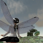 Scrapbook photo 4