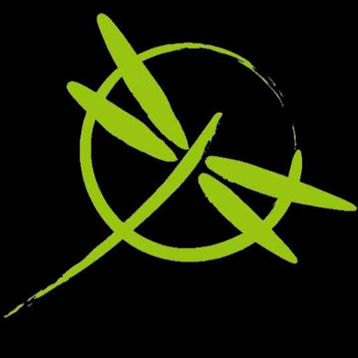 Dragonfly Martial Arts logo