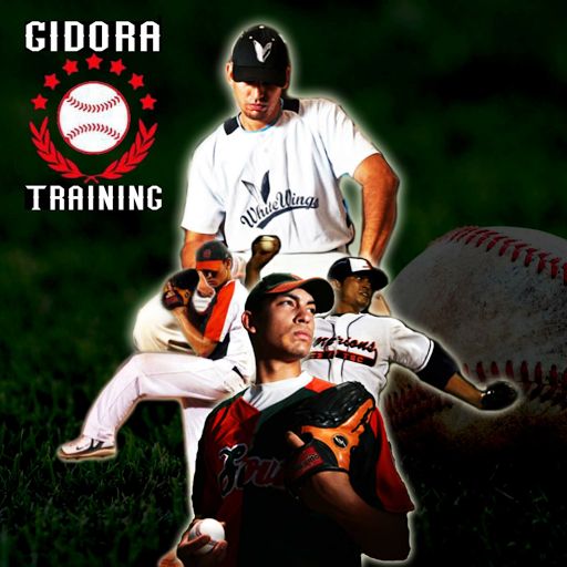 Gidora Training Academy