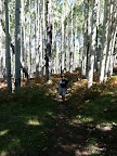 Paseo del Lobo Section 43 (Photo by M. Markiewicz)