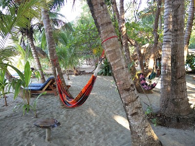 Photos of Fenix Hotel - On the Beach