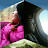 Michele McDermott avatar image