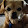 Patrick Mccann Patrick Mccann's profile photo