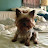 Mary Eva avatar image