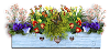 flowers.png