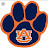Traci Collinsworth avatar image