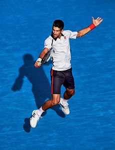 https://lh4.googleusercontent.com/-Dl74Accmizk/UZZNl27unsI/AAAAAAAAAxQ/-VIqr9TKcUg/s300/170513_pressrelease_djokovic_12AUS.jpg