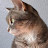 Rae G avatar image