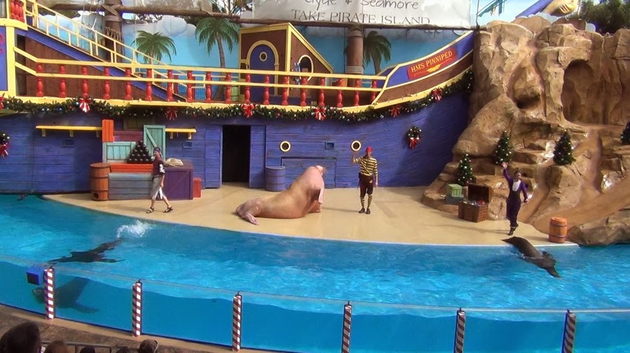В Орландо, парк Sea World