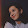 deepthi p rao deepthi p rao's profile photo