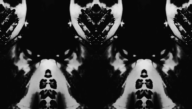 Cover photo