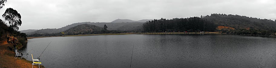 DSCF2909.JPG
