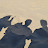 Haris J avatar image