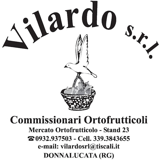 Vilardo S.r.l. logo