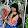 Thuy Chau Thuy Chau's profile photo