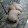 Kevin Enriquez Kevin Enriquez's profile photo