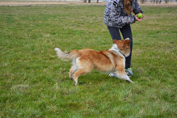 DSC_1284.JPG
