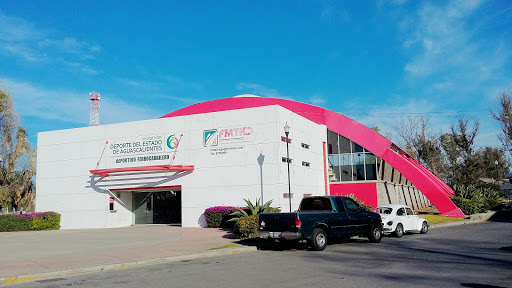 Deportivo Ferrocarrilero, Prol. Alameda. Esq. Av. Gomez Morin s/n, Ferronales, 20180 Aguascalientes, Ags., México, Centro deportivo | AGS