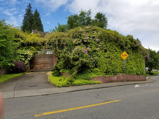 Park «Viretta Park», reviews and photos, 151 Lake Washington Blvd E, Seattle, WA 98112, USA