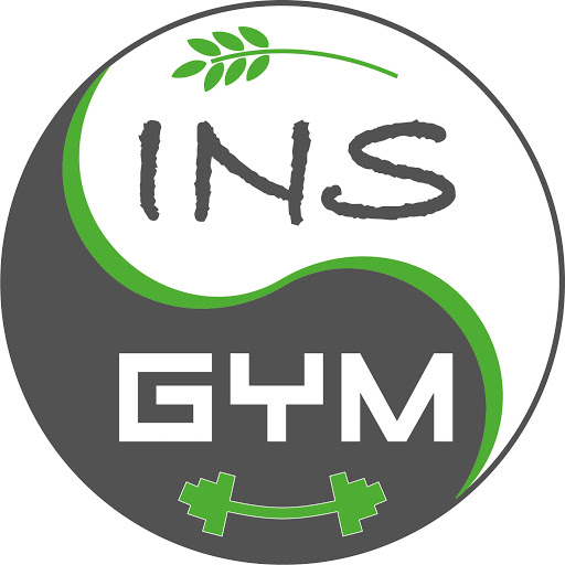 Ins Gym logo